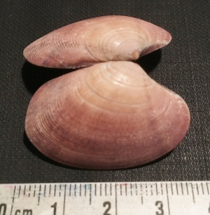 &copy Casper Meinders